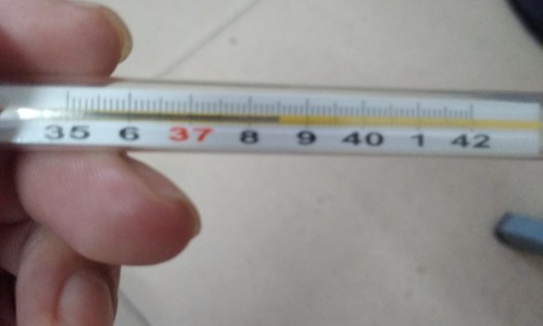 脂肪和肌肉型肥胖慢跑怎么减肥最有效-权威肌肉脂肪对比平台,分享专业脂肪和肌肉的比例标准知识_脂肪和肌肉型肥胖慢跑怎么减肥网